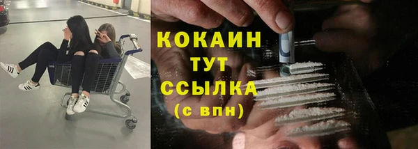 прущие крисы Аркадак