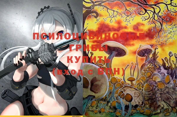 прущие крисы Аркадак